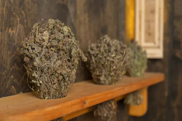 Травы для бани Woodson, чабрец