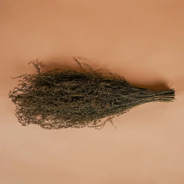 Травы для бани Woodson, полынь лимонная