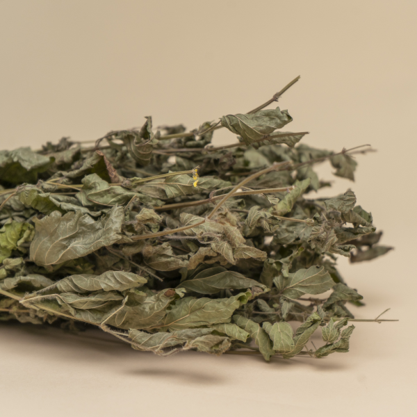 Травы для бани Woodson, мелисса